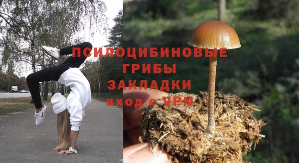 тгк Арсеньев