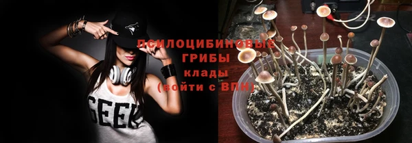 тгк Арсеньев