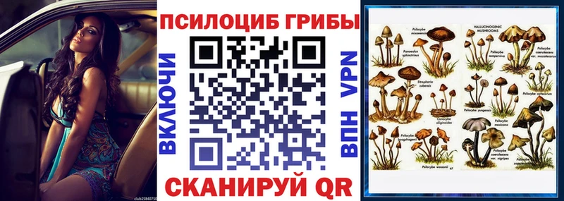 Псилоцибиновые грибы ЛСД  Тейково 